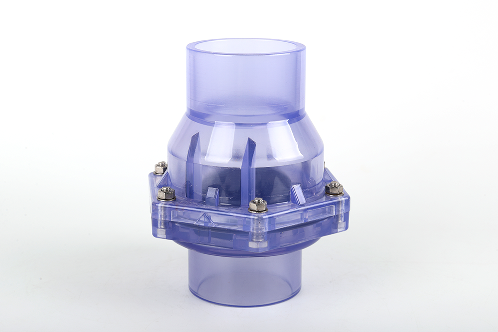 武强透明翻板式止回阀